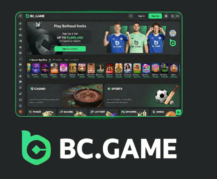 Understanding the BC.Game Login Process A Comprehensive Guide -401683932